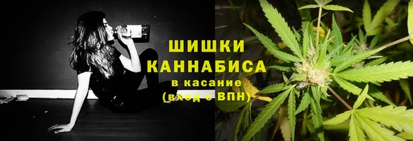 прущие крисы Надым