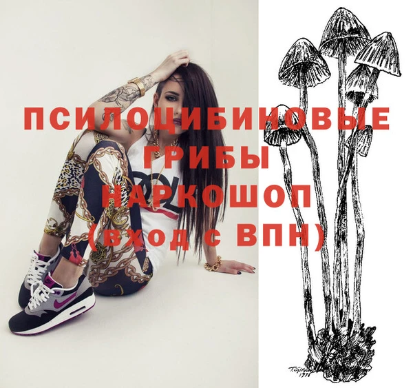 прущие крисы Надым