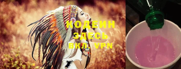 прущие крисы Надым